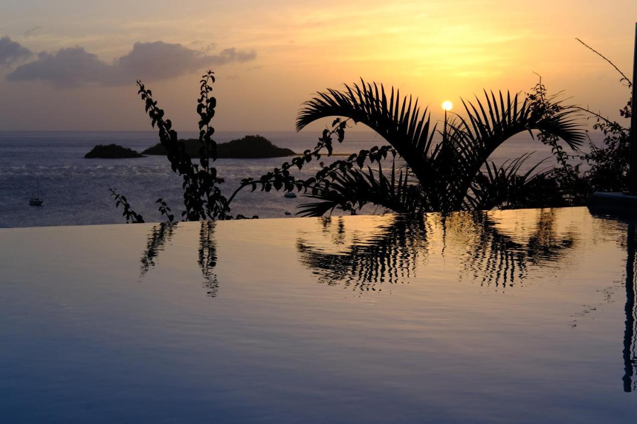 Sunset Palm - Villa Creole Avec Piscine Face Au Coucher De Soleil Et A La Reserve Cousteau Буйант Экстерьер фото